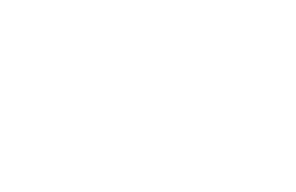 AM Suisse