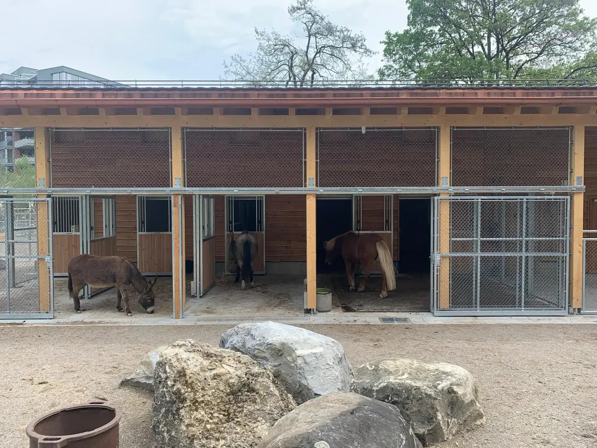 Gemeinschaftszentrum Bachwiesen, Zürich, Referenzprojekt der Walter Zäune AG (8)